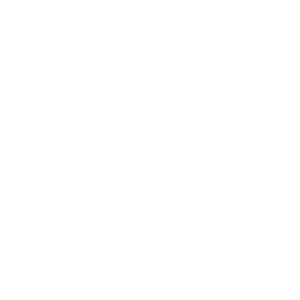 people-safe-logo